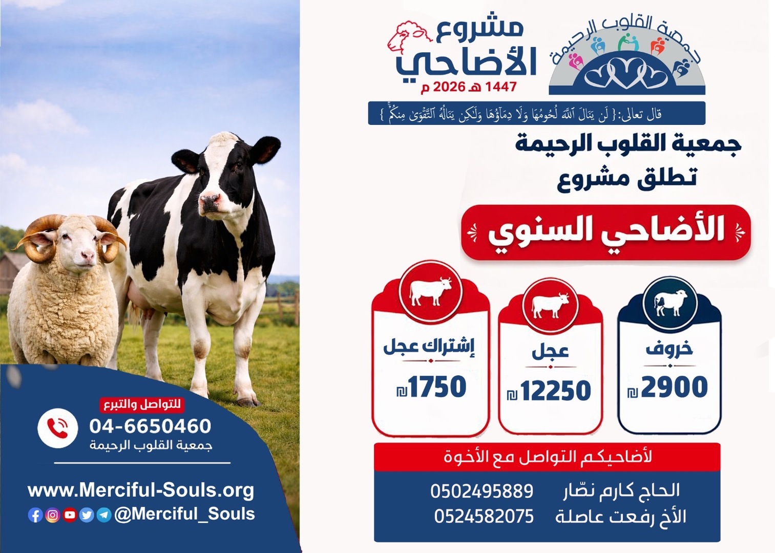 مشروع الاضاحي