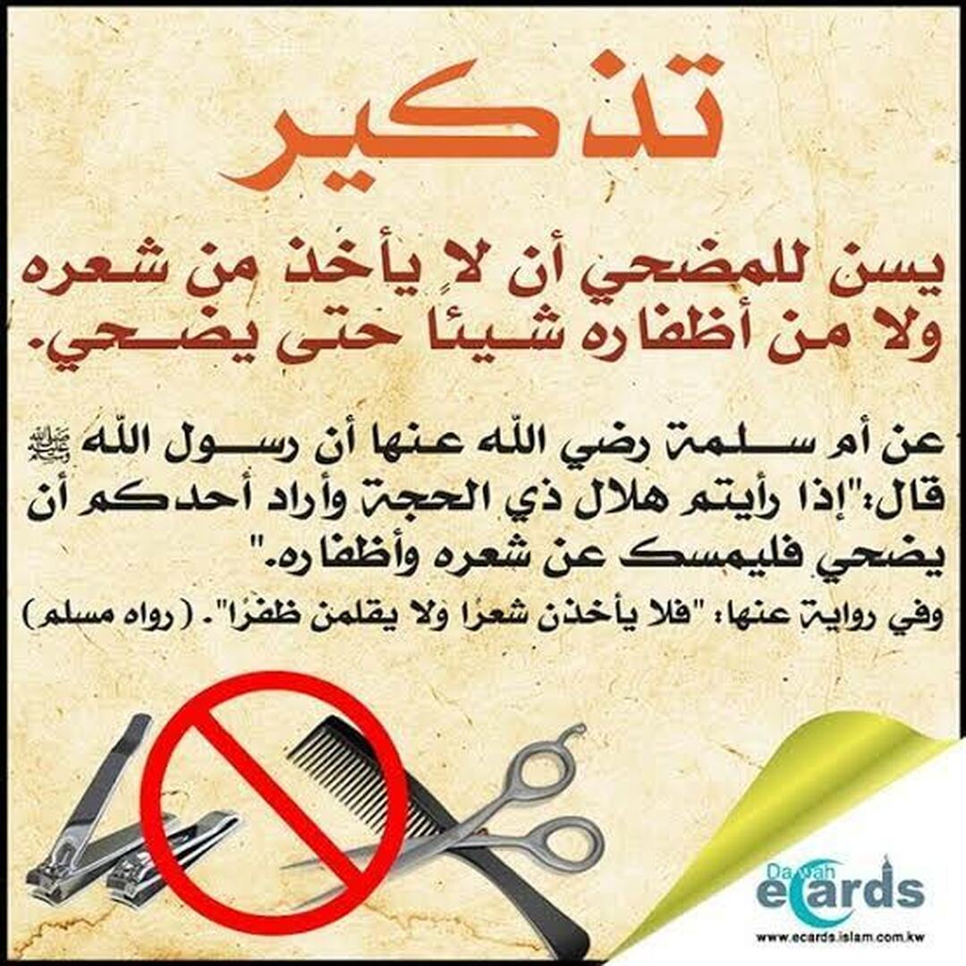 توعية