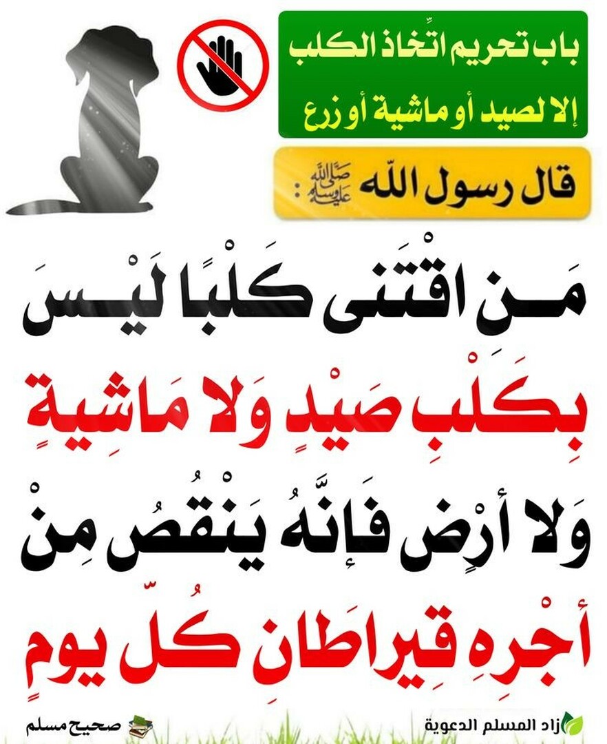 حديث