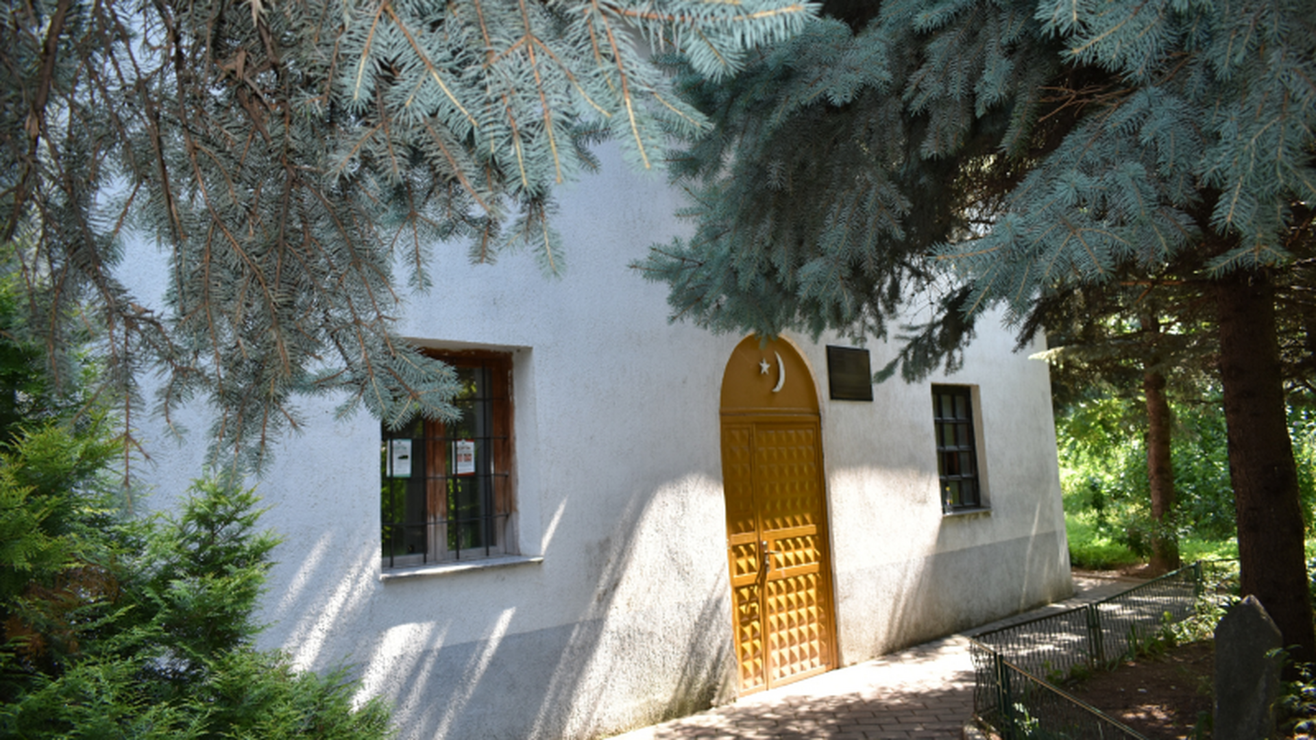 XHAMIA E GJYLFATYNIT