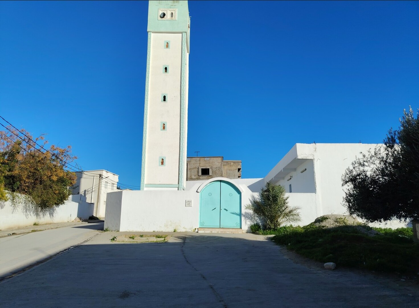 جامع الفتح النحلي