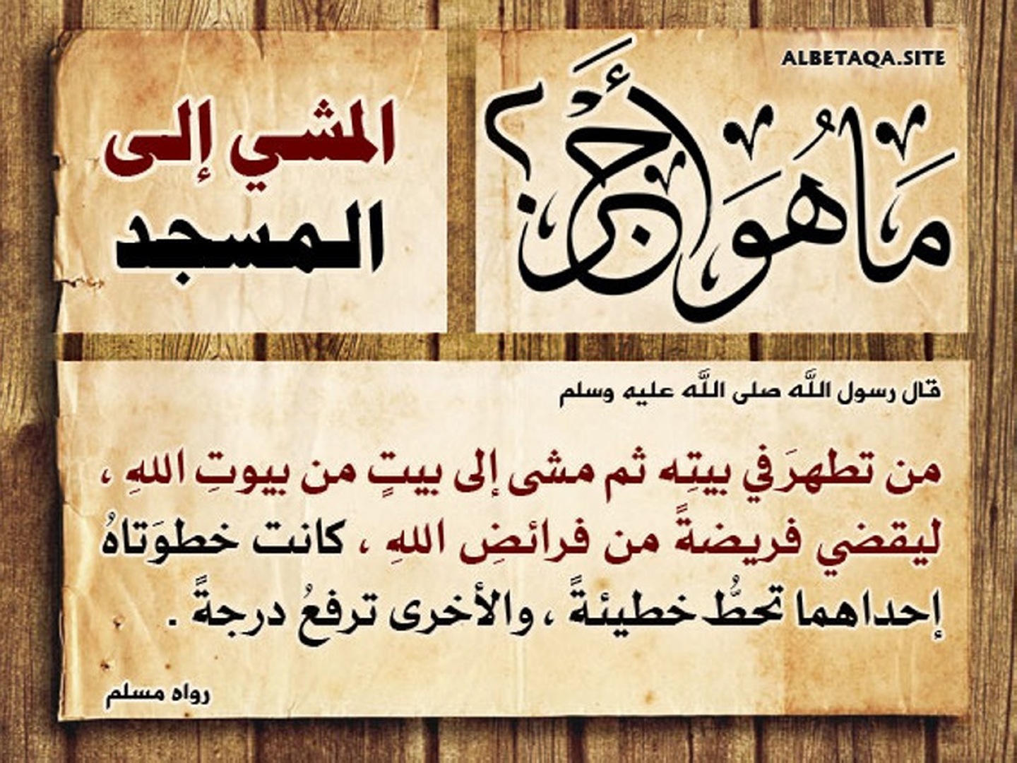 مسجد التوحيد