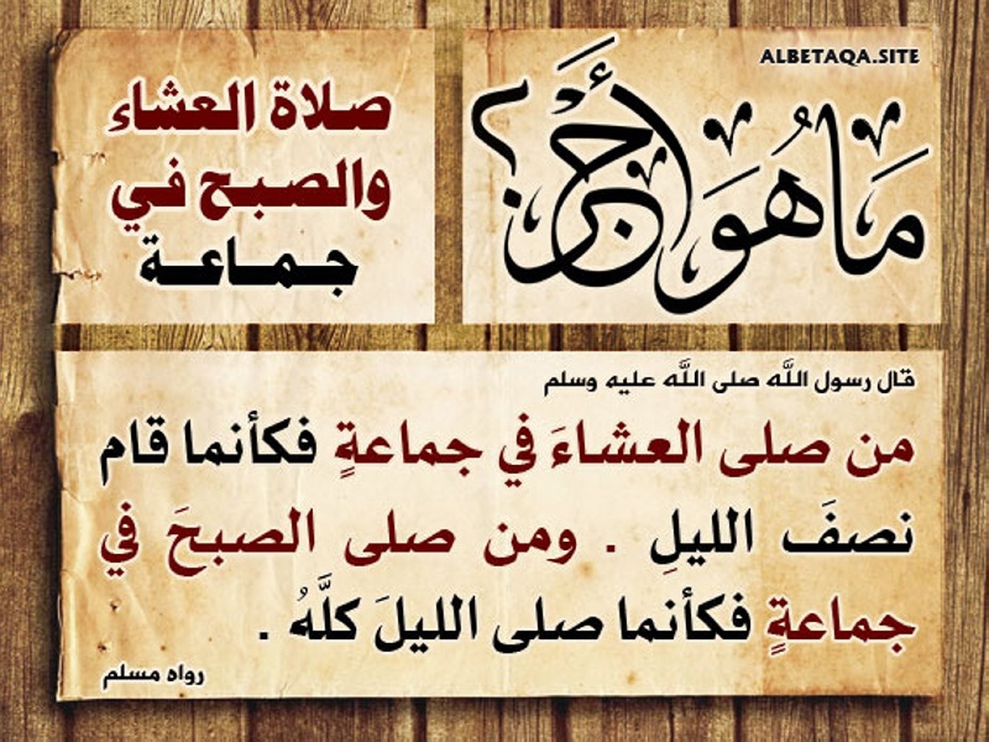 مسجد التوحيد