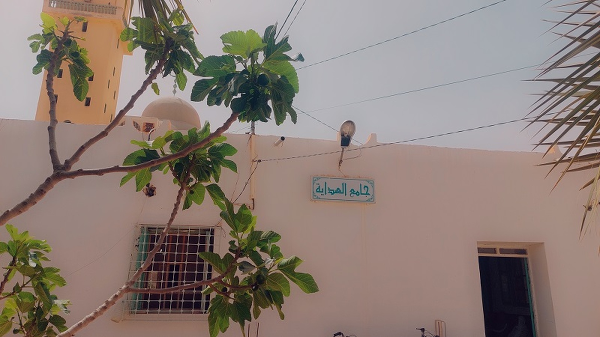 جامع الهداية المتلوي