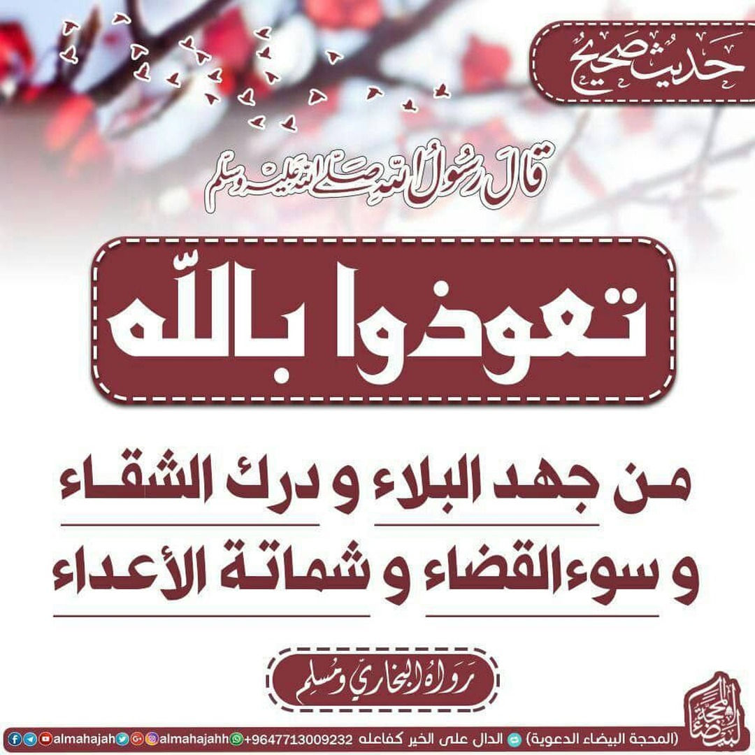 التعوذ من جهد البلاء