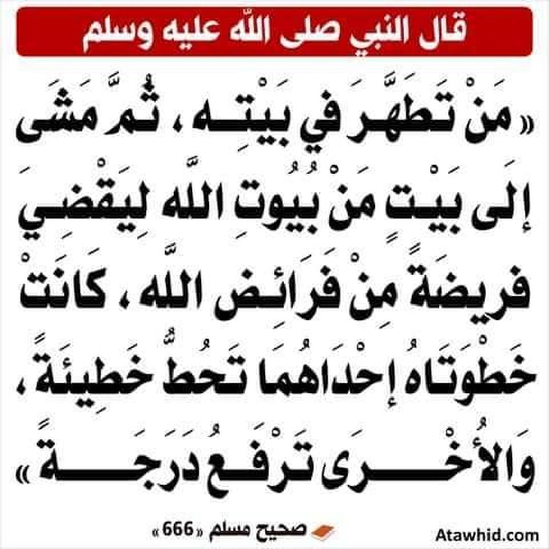 فضل من تطهر في بيته ثم ذهب إلى المسجد