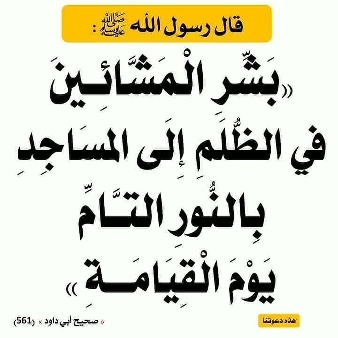 بشر المشائين في الظلم