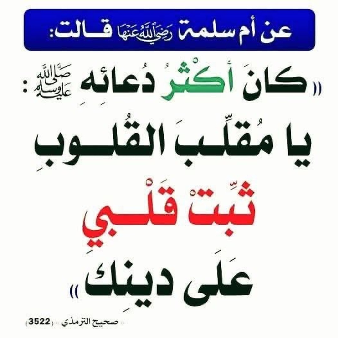 بسم الله الرحمن الرحيم