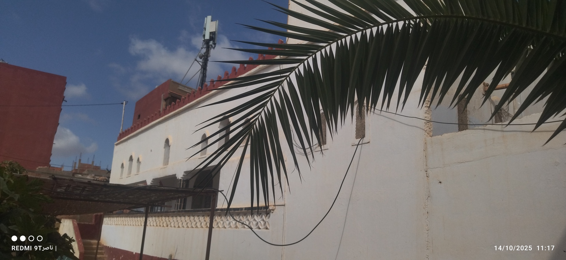 معاذ بن جبل