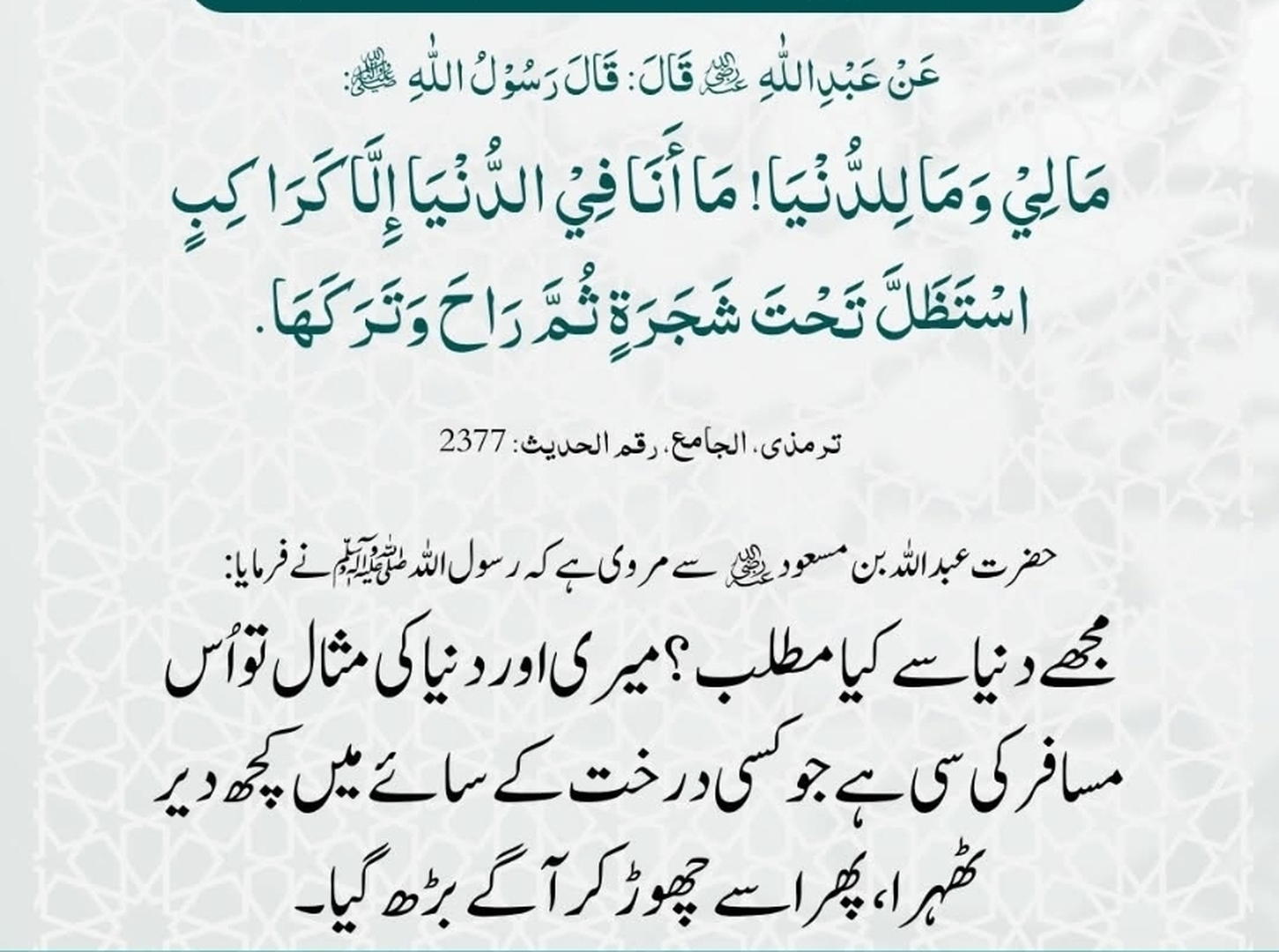 حقيقة الدنيا