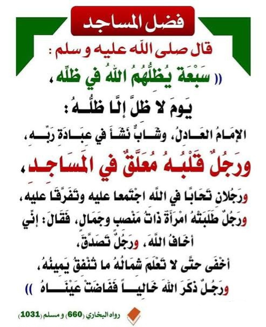 فضائل