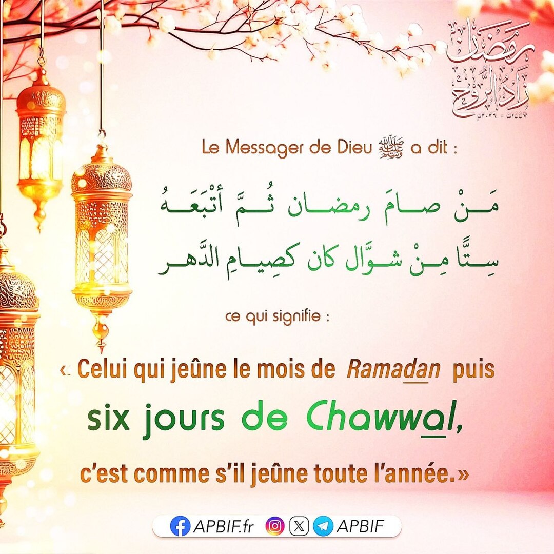 Rappel