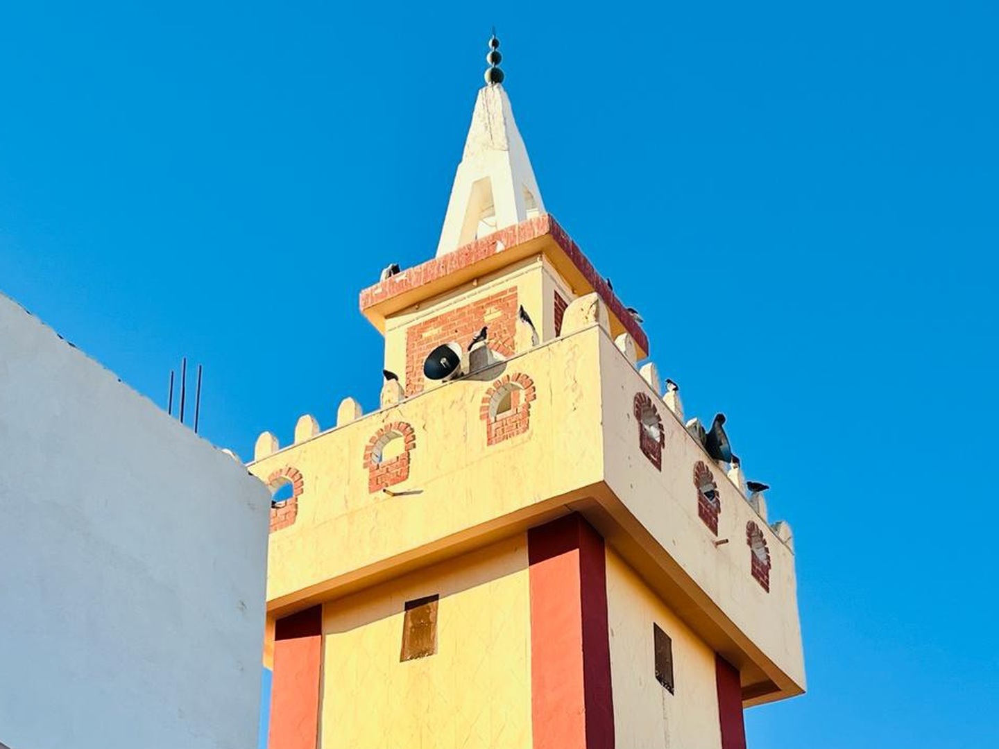 جامع سيدي بو علي