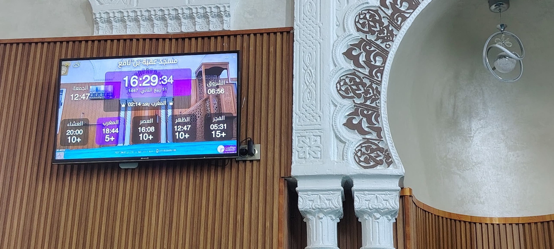 عقبة بن نافع