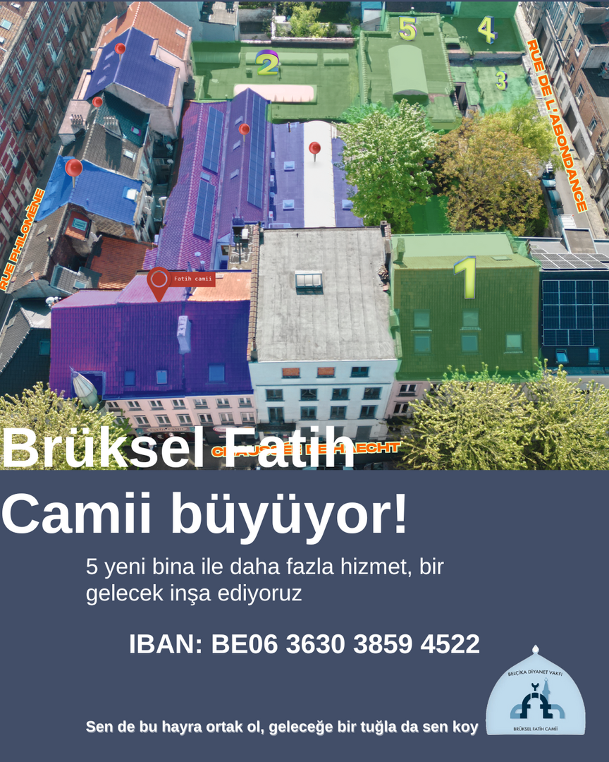 Bagis linki