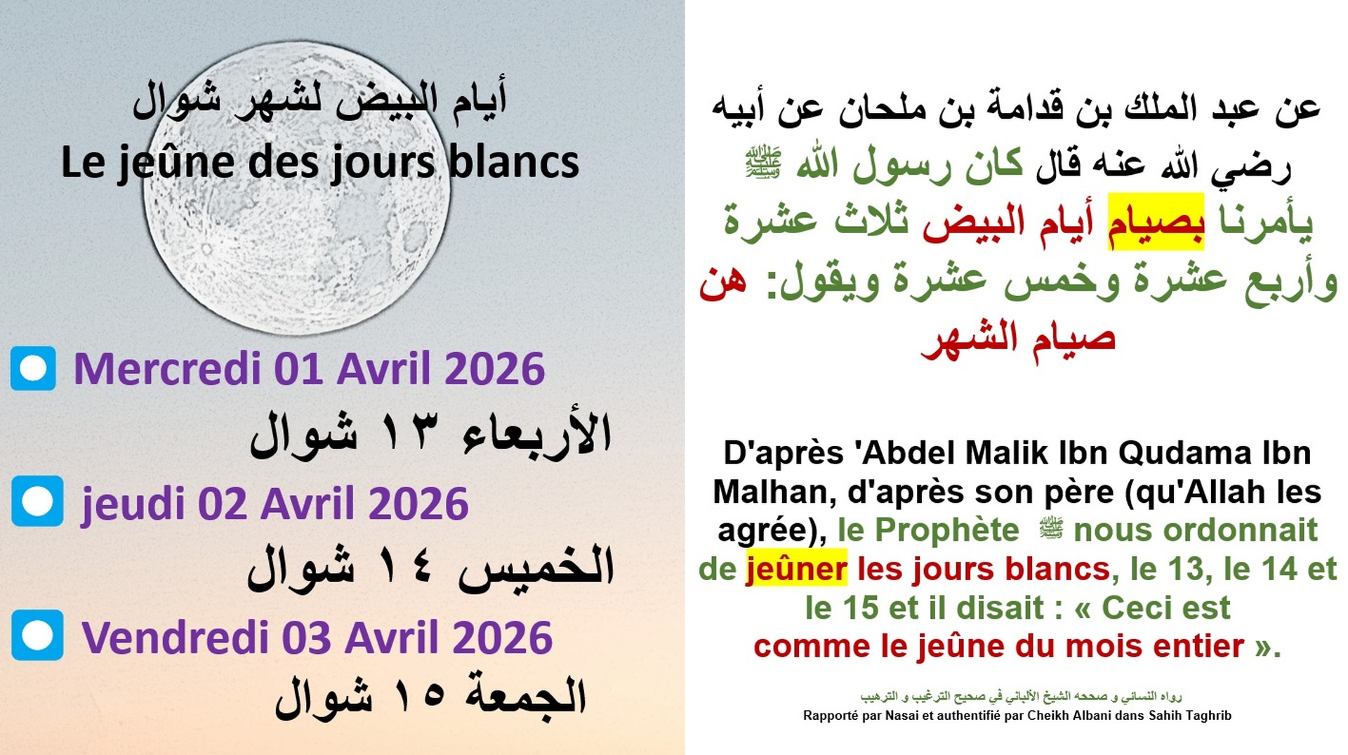 Jours blancs