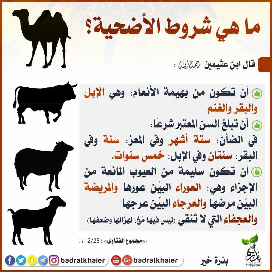 الاضحية