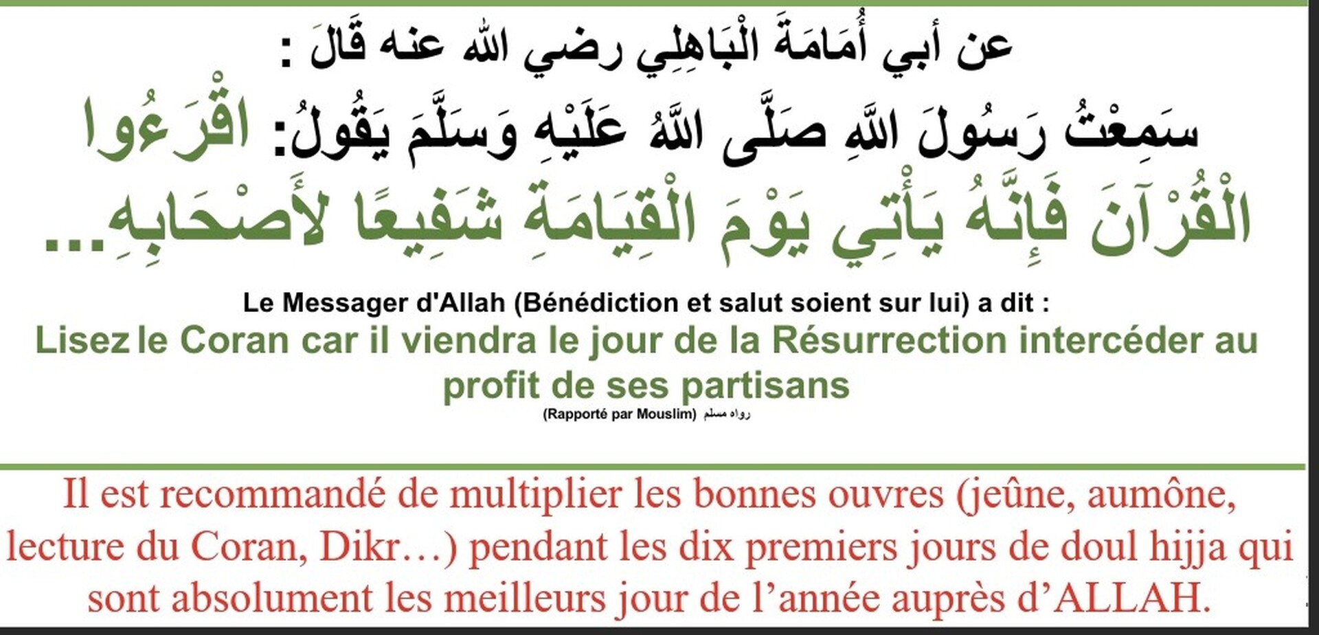 Hadith