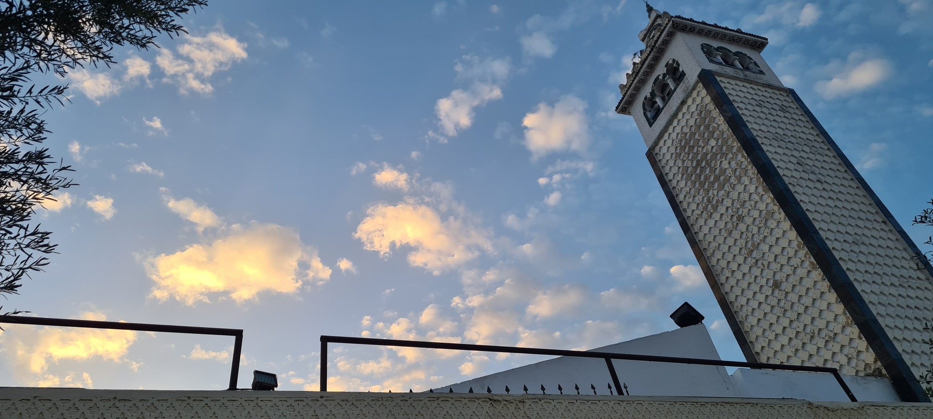 جامع علي ابن أبي طالب