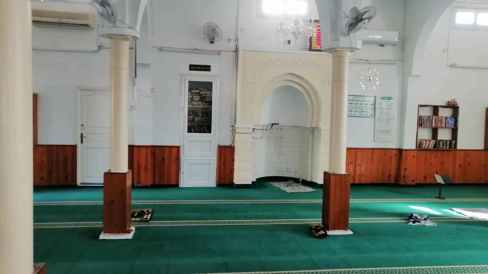 البساتين