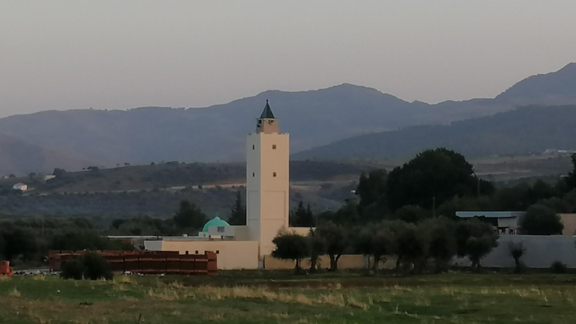 جامع الزرايبية