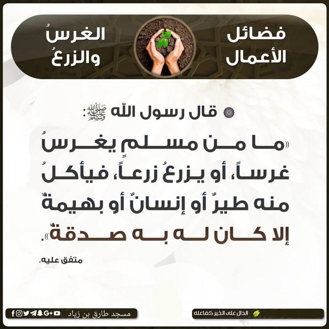 فضل غرس الشجر