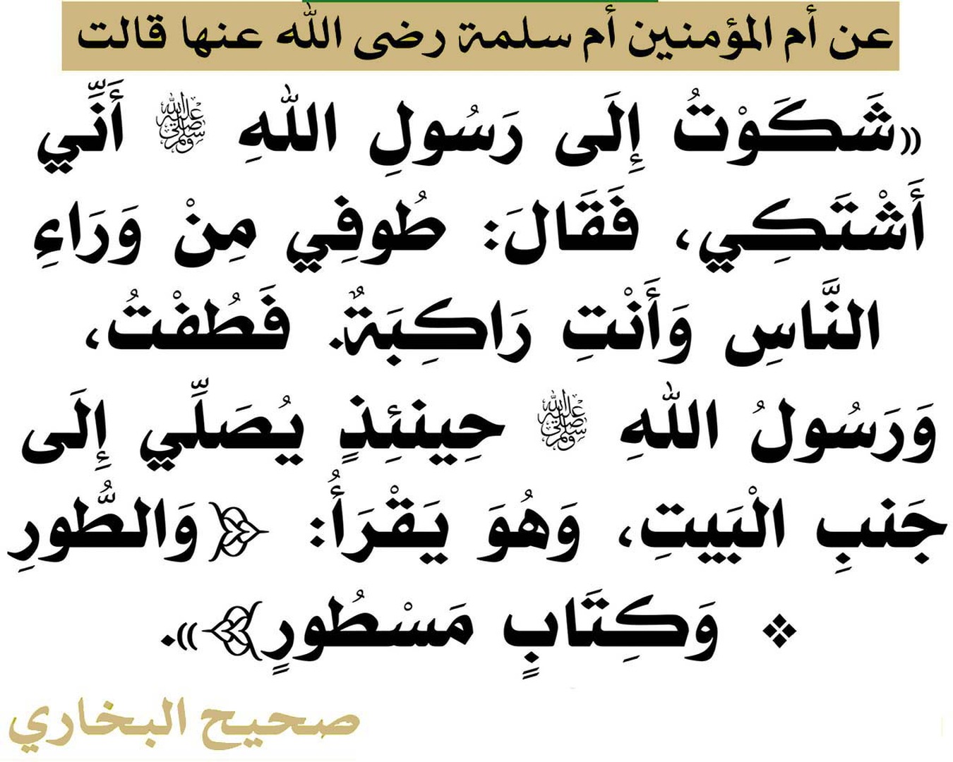 طواف المريض راكبا إن لم يستطع المشي