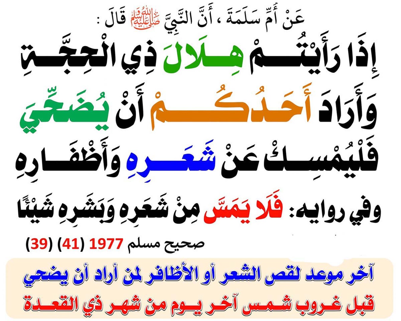 غير المحرم له نصيب من شعائر النّسك