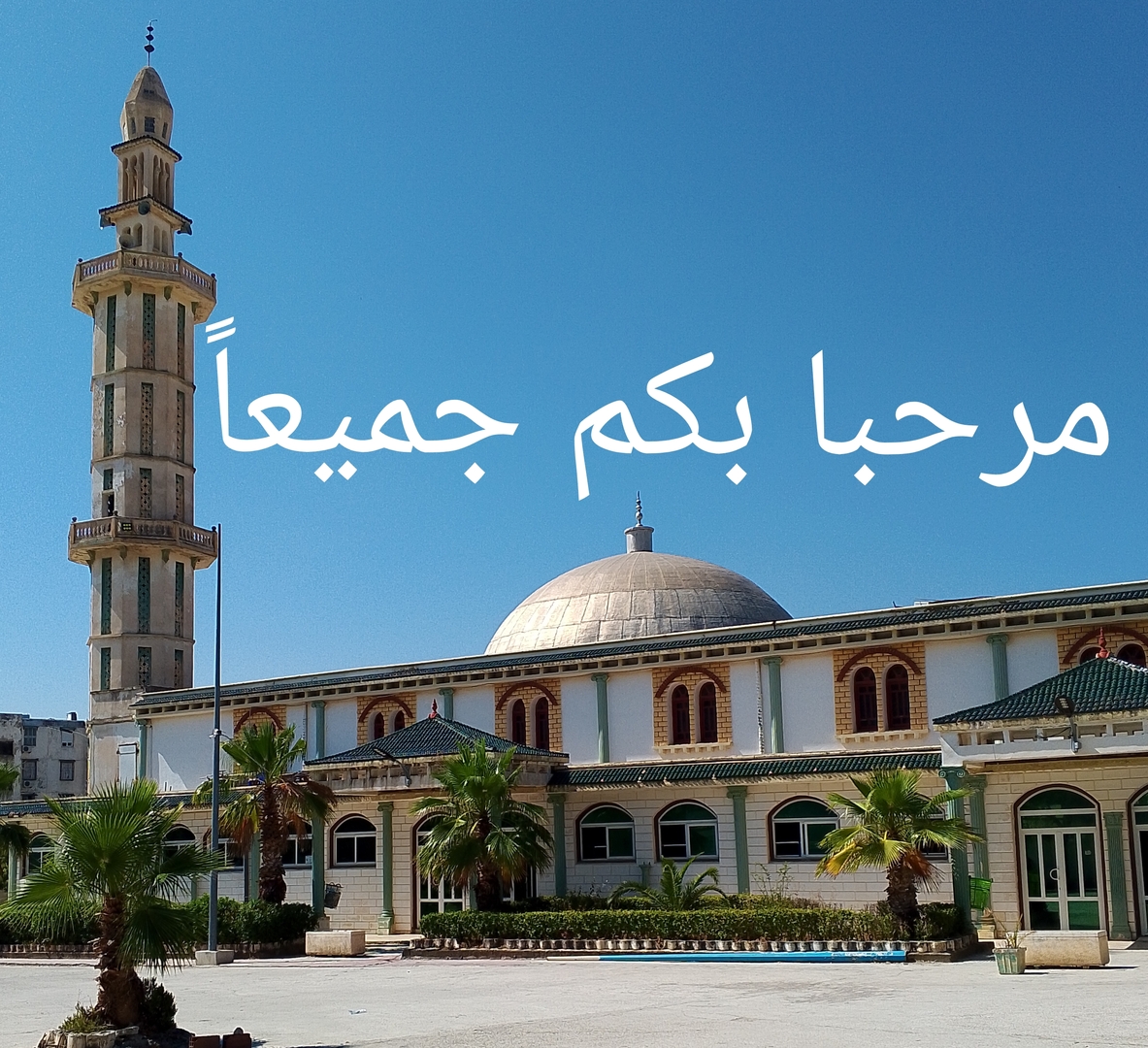 صورة