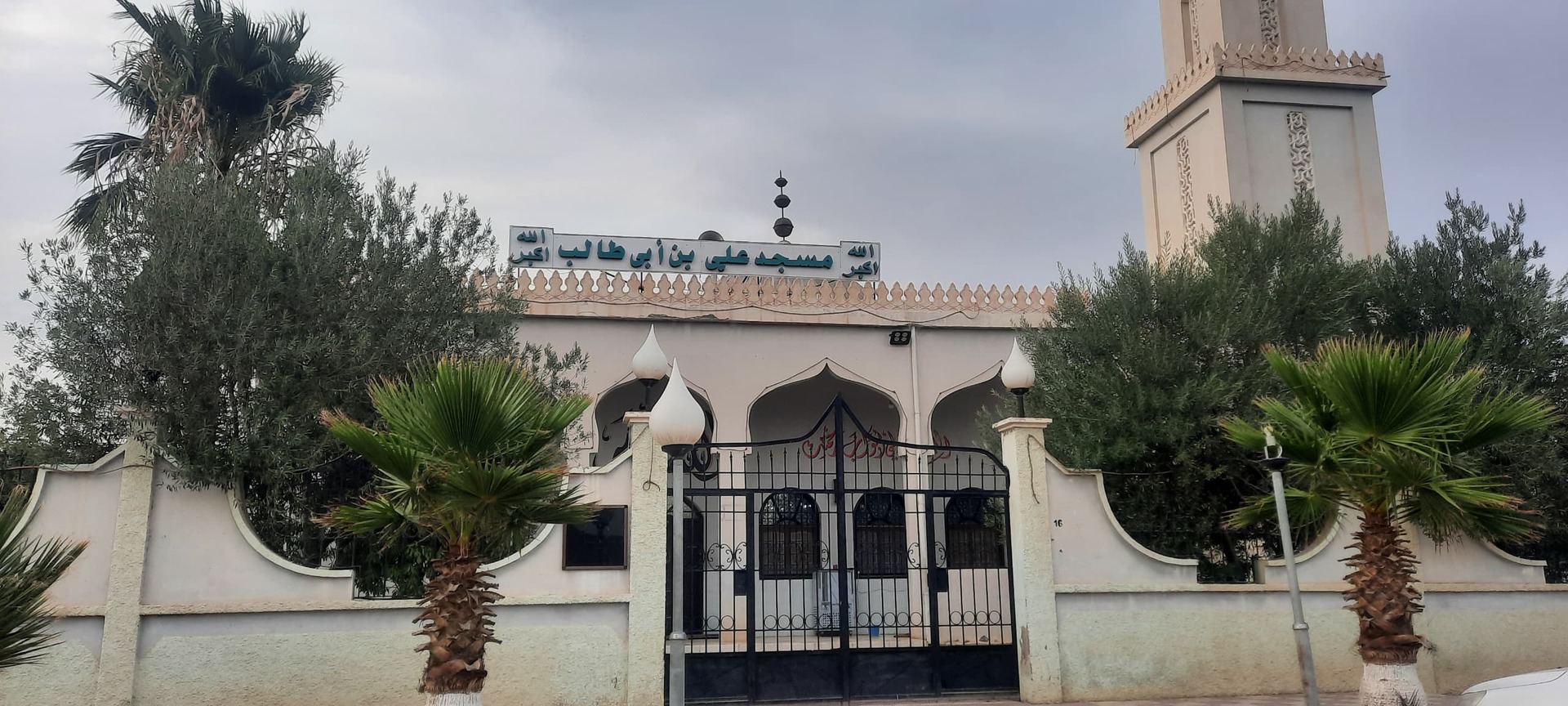 علي بن ابي طالب