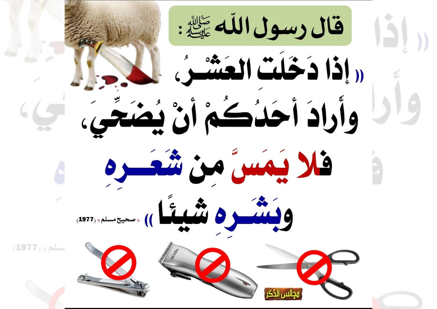 ذو الحجة