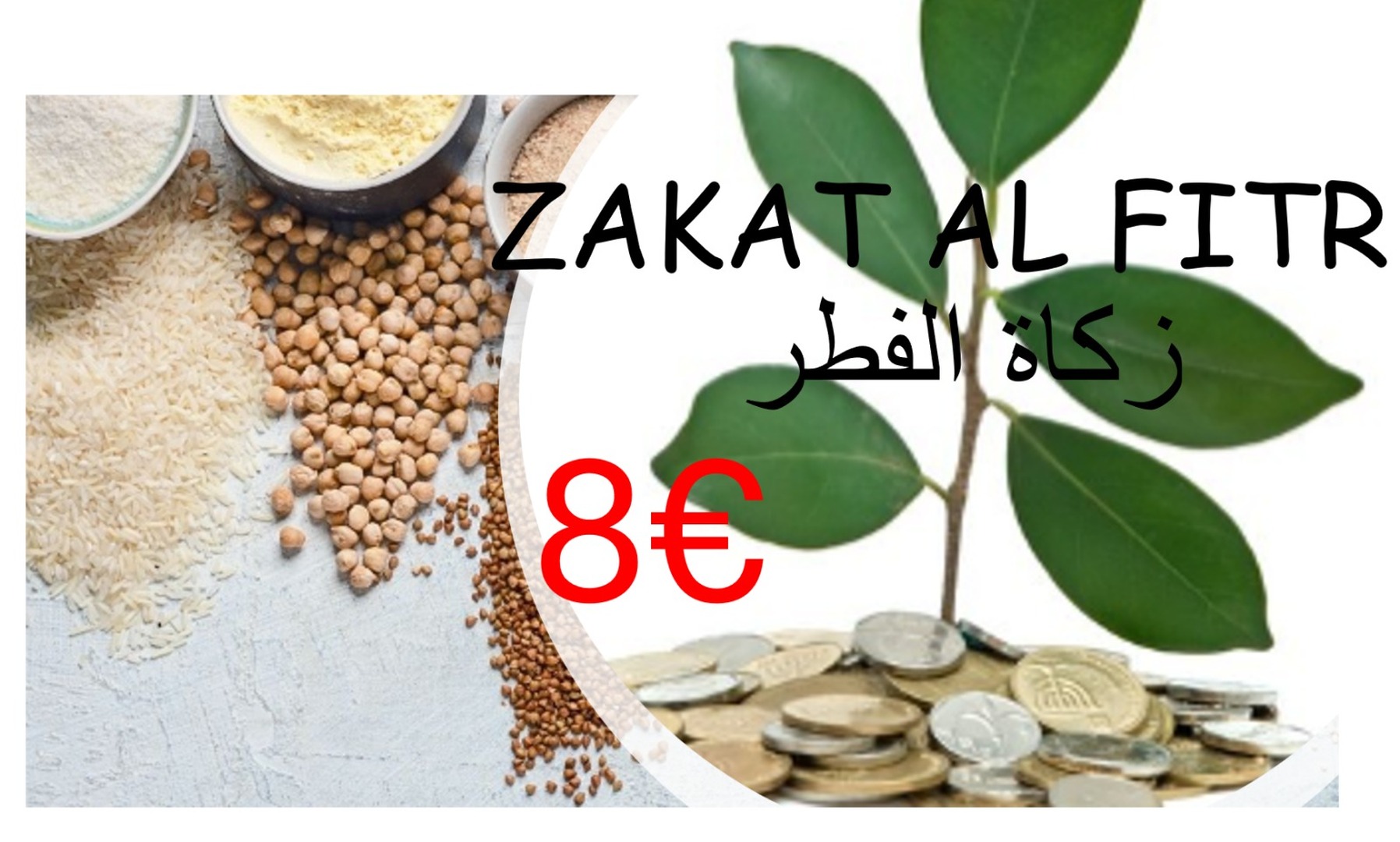 Zakat al fitr
