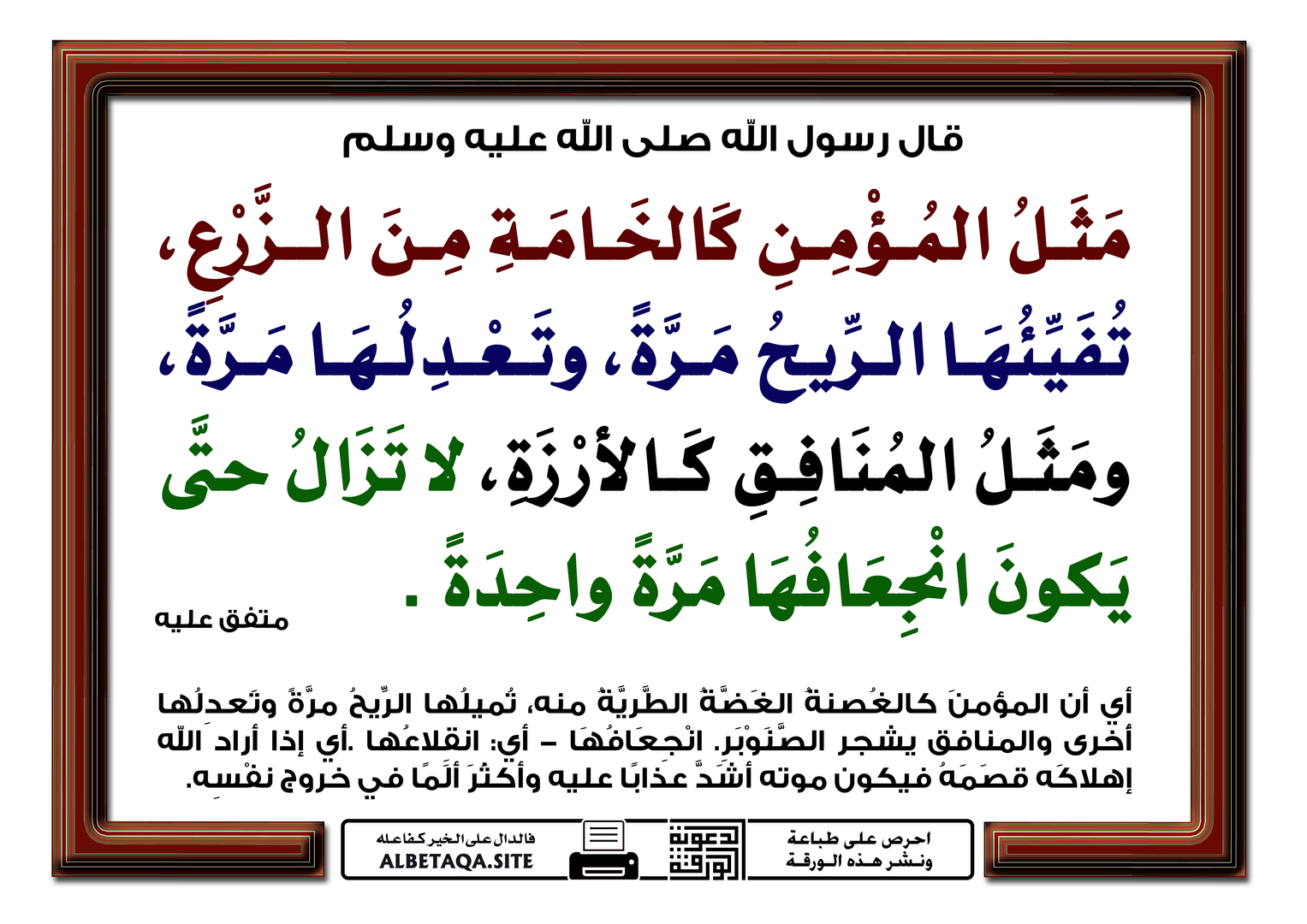 مثل المؤمن كمثل خامة الزرع