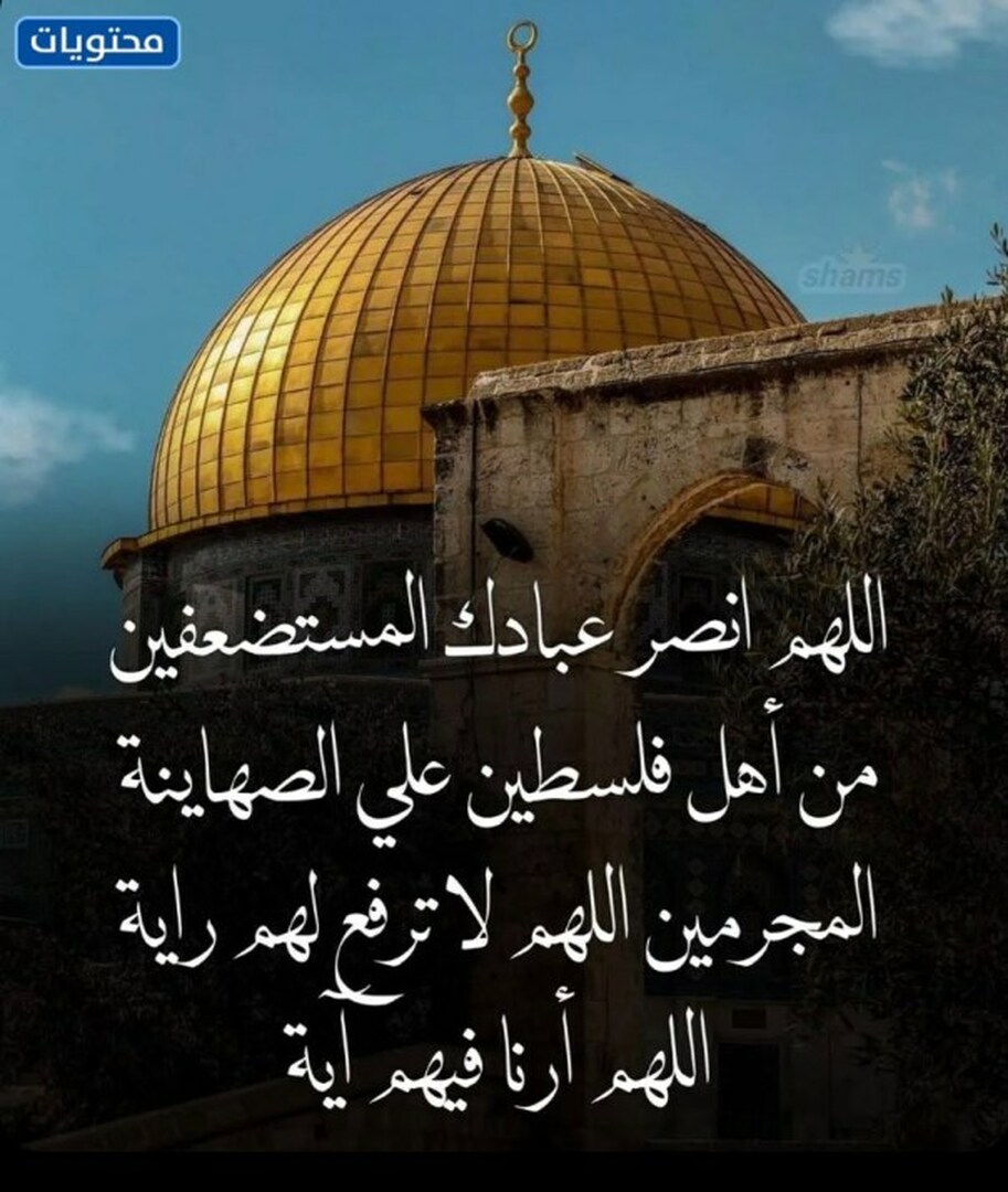 اللهم وحد المسلمين وانصر أهل غزة