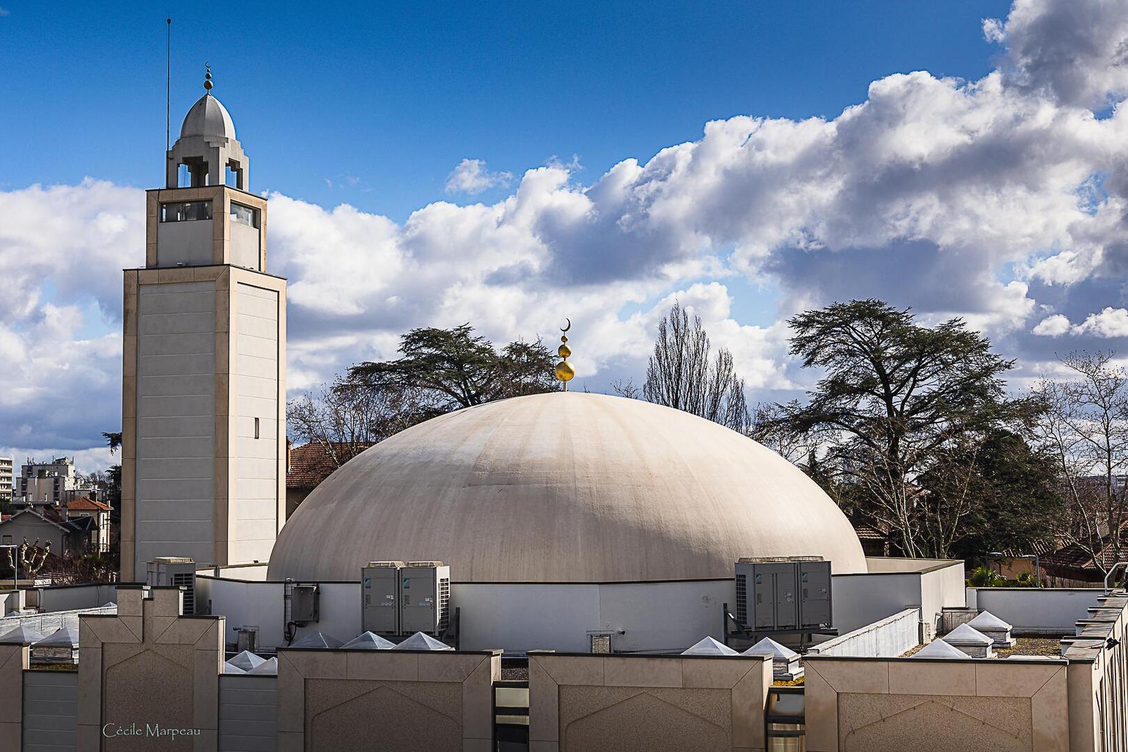 Grande Mosquée De Lyon
