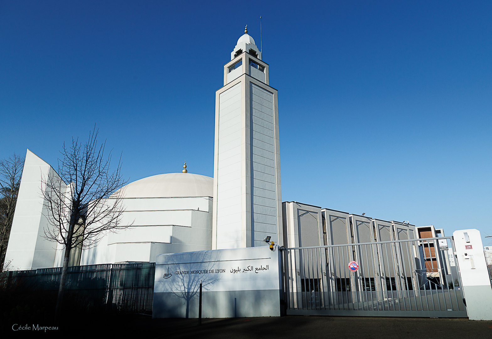 Grande Mosquée De Lyon