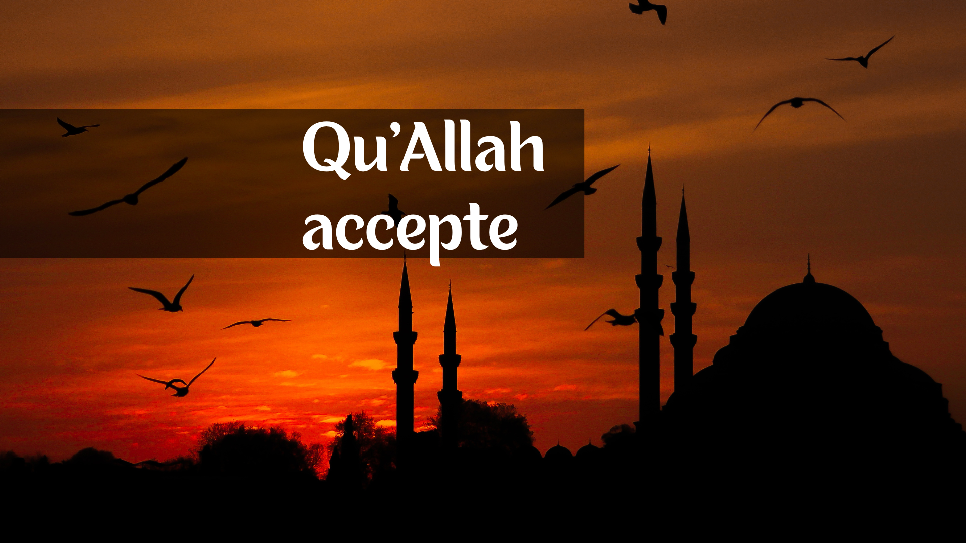 Jours blancs de Dhoul Qi3da