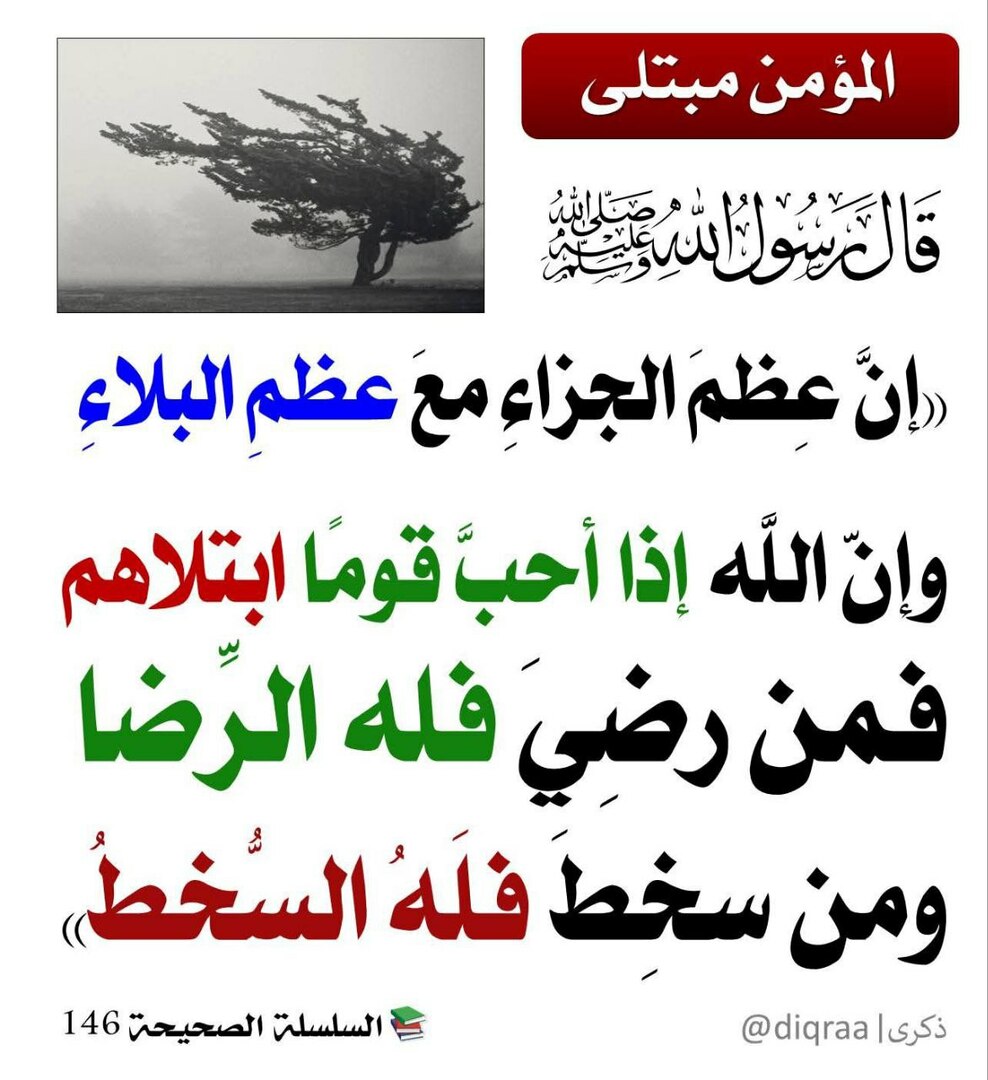 فوائد