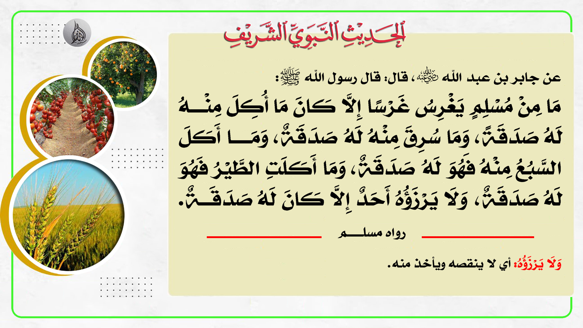 حديث هذا الأسبوع