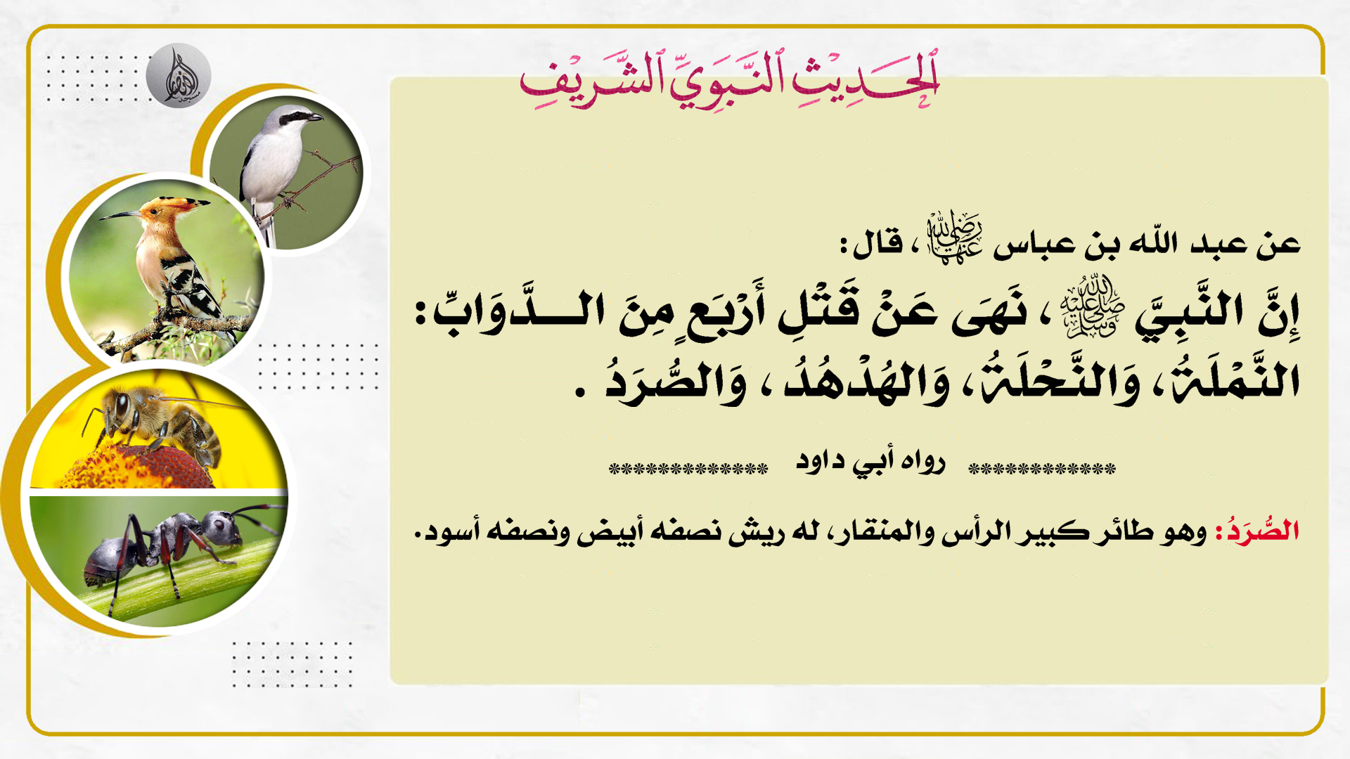 حديث هذا الأسبوع