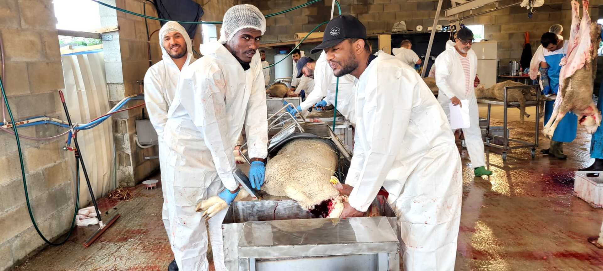 pour la fête de Aid al-Adha