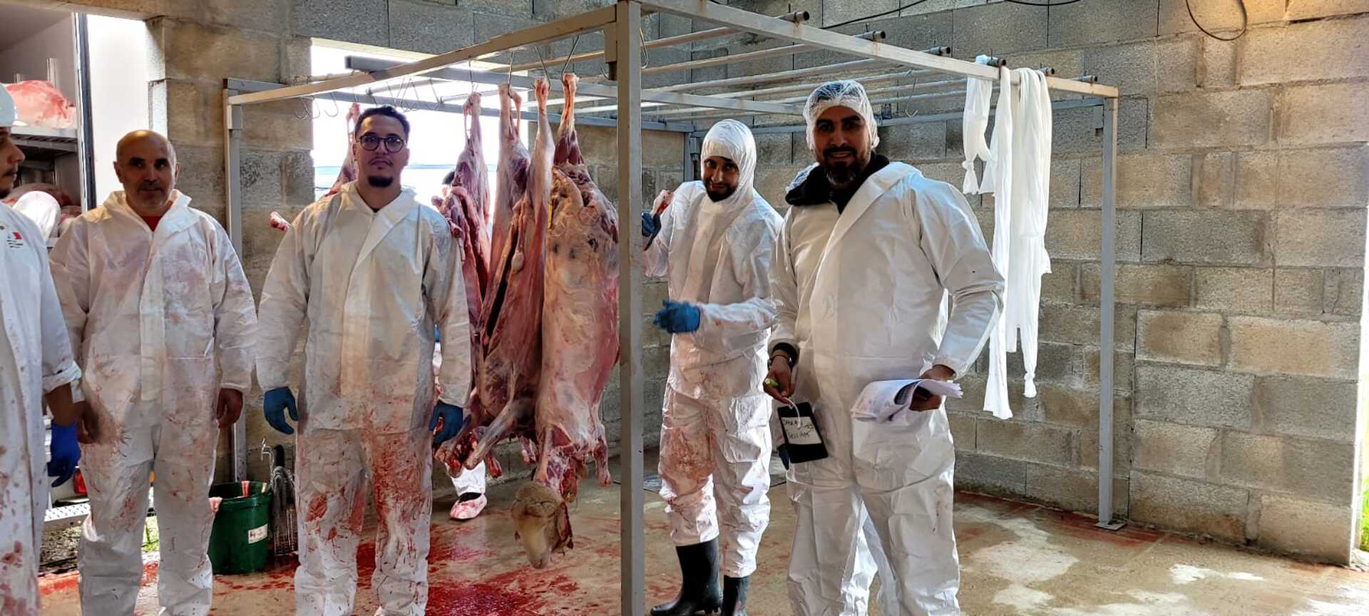 pour la fête de Aid al-Adha