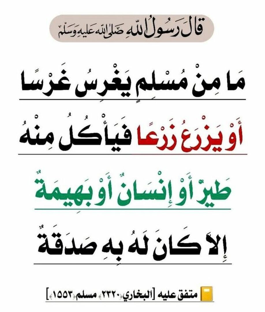 حديث