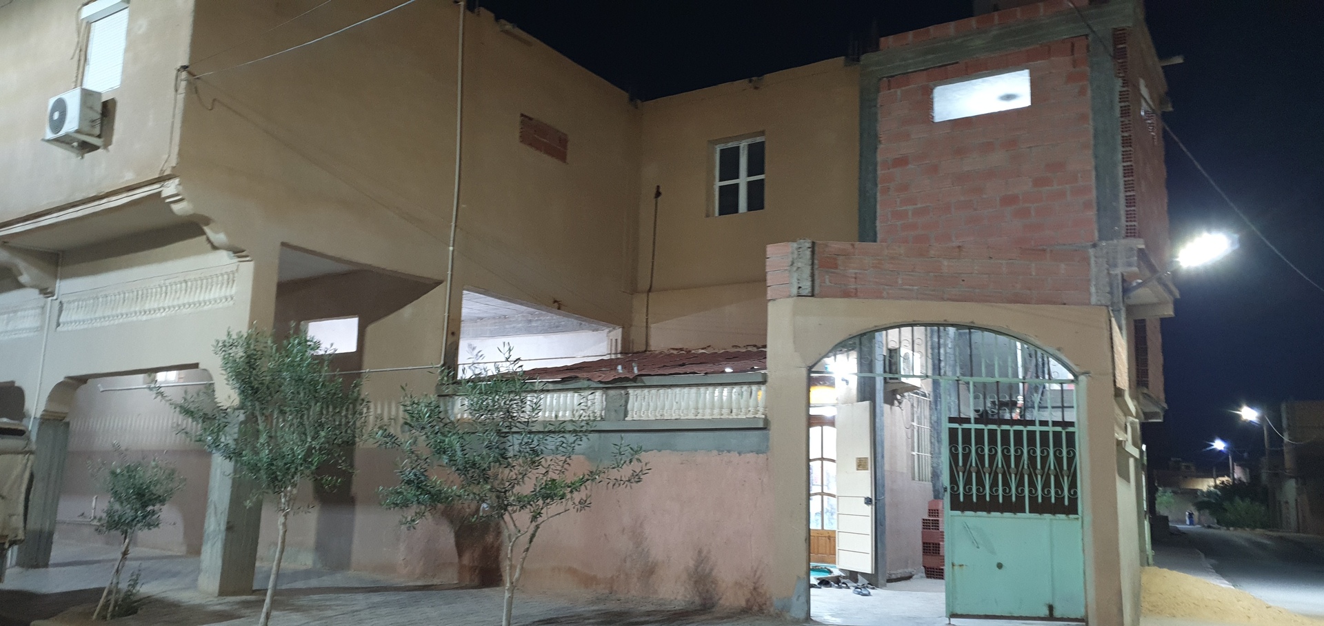 عقبة بن نافع