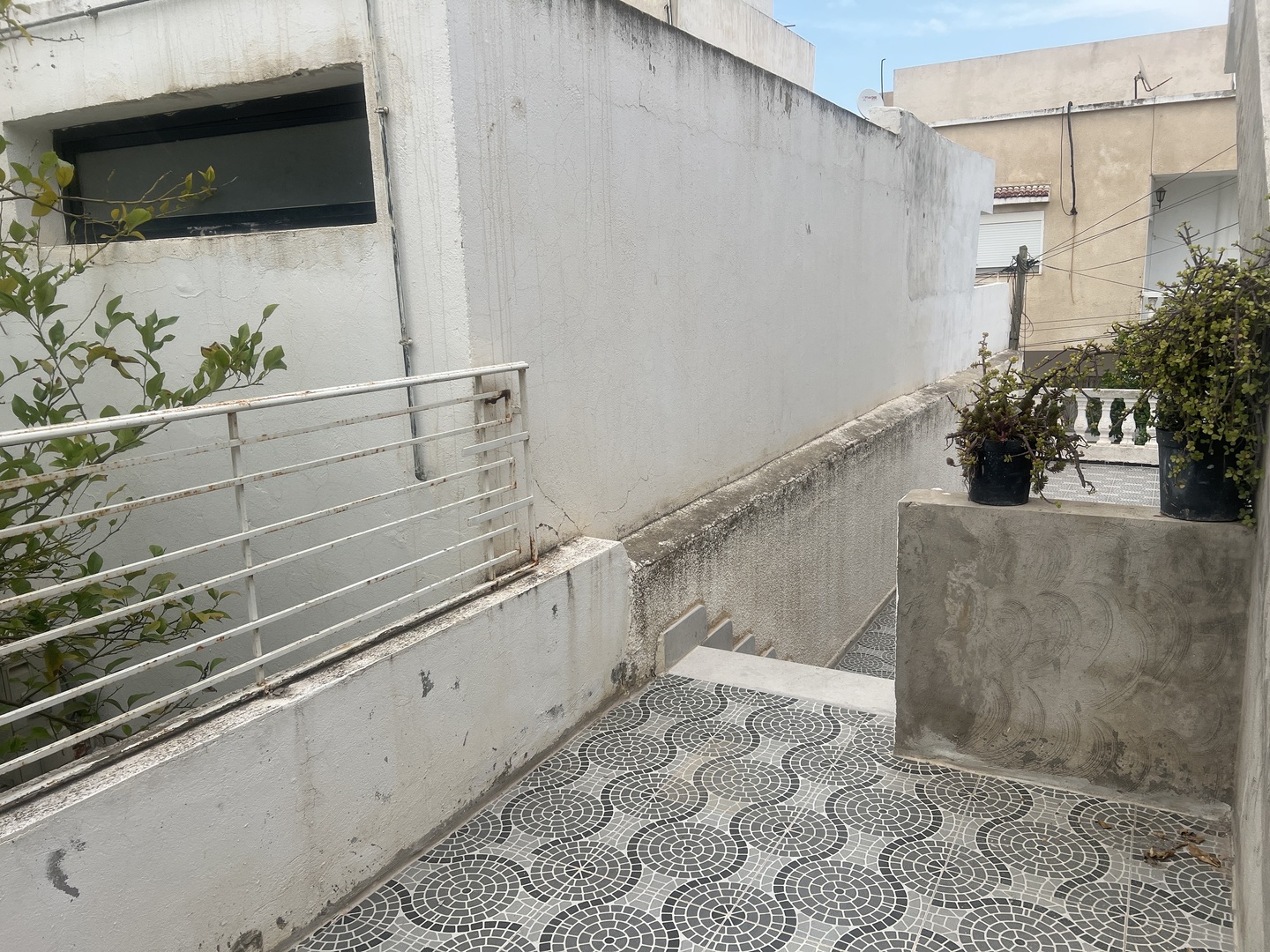 جامع الرحمة