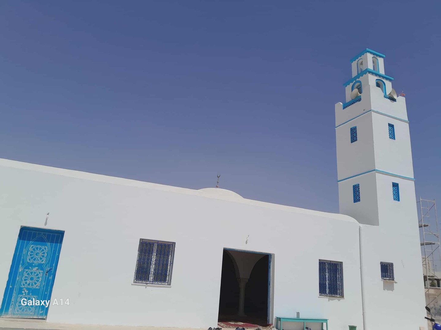 جامع الفقيه عمر