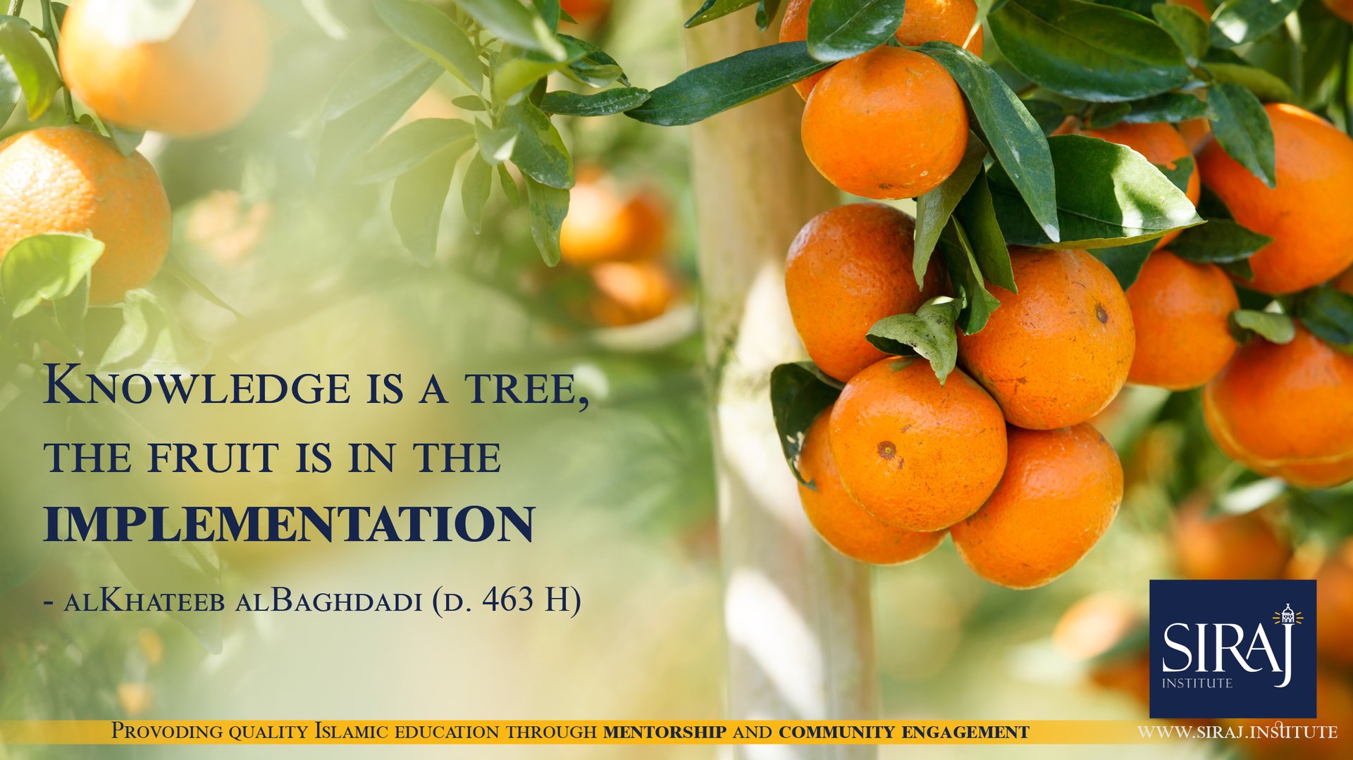 Implementation