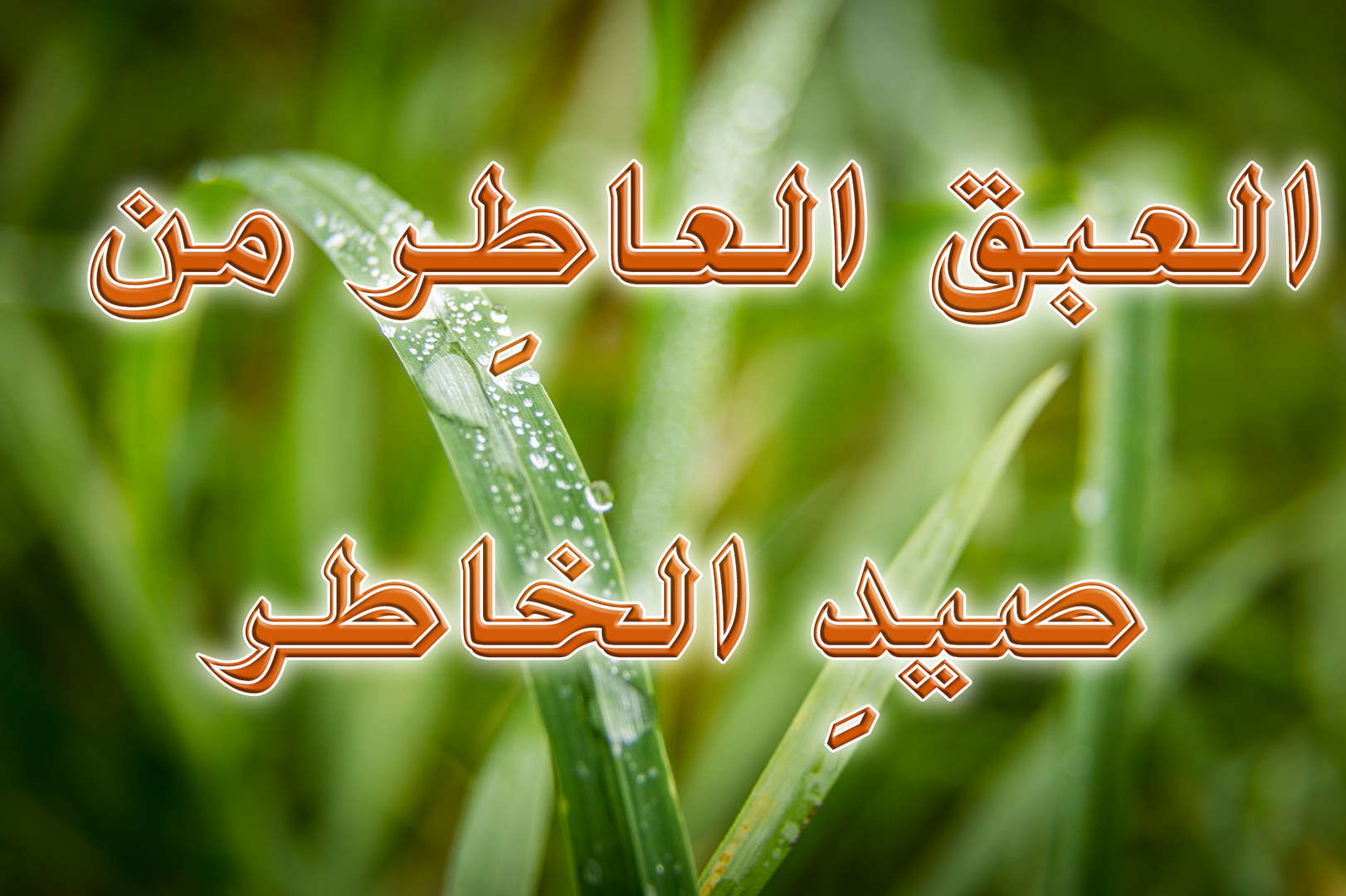 الاثنين  Montag