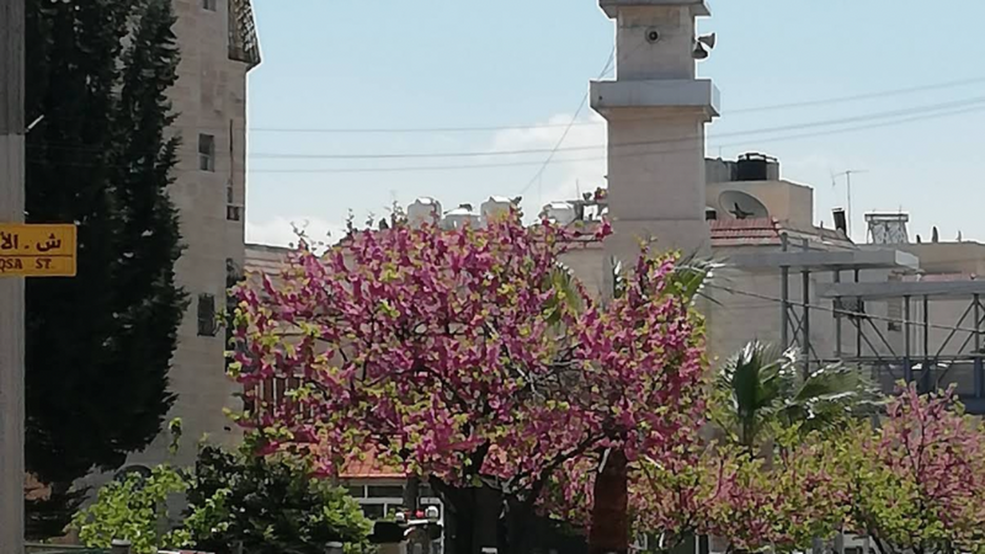 مسجد يونس صقر شنك