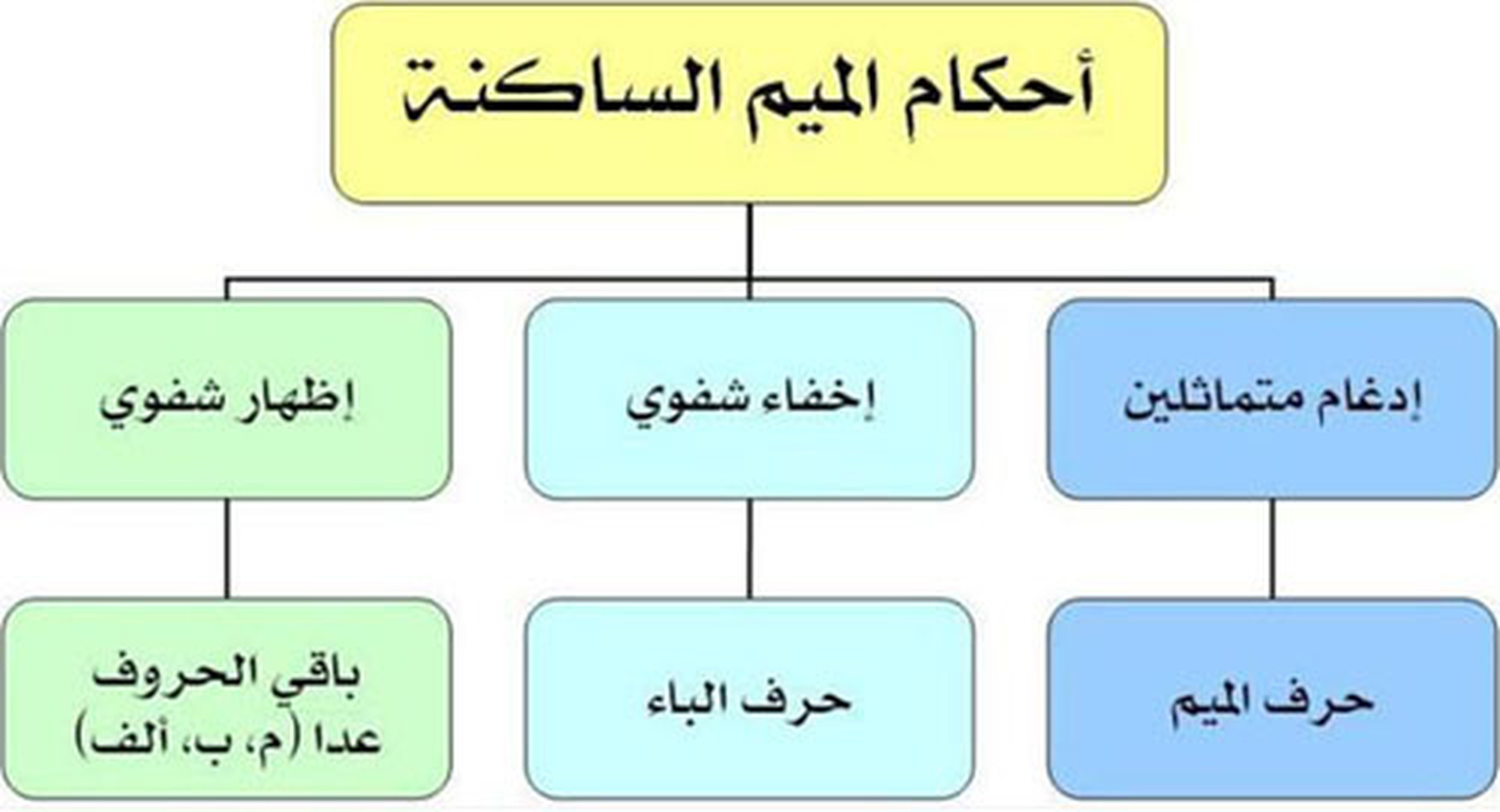 احكام الميم